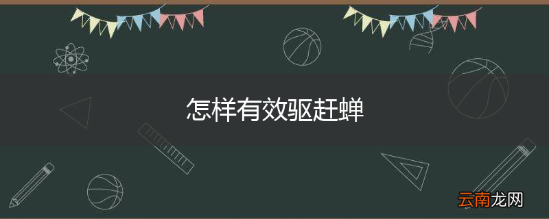 怎样有效驱赶蝉