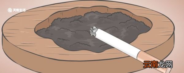 芙蓉王哪里生产的 芙蓉王是哪里生产的
