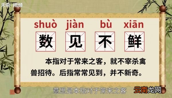数见不鲜的意思 什么是数见不鲜