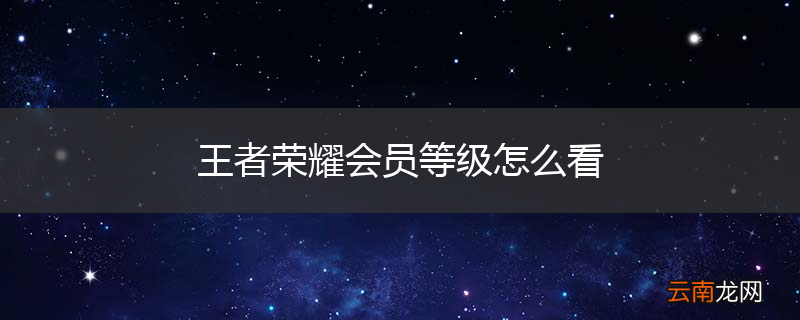 王者荣耀会员等级怎么看