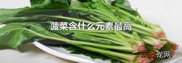 菠菜含什么元素最高