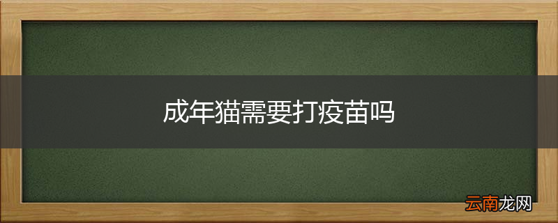 成年猫需要打疫苗吗
