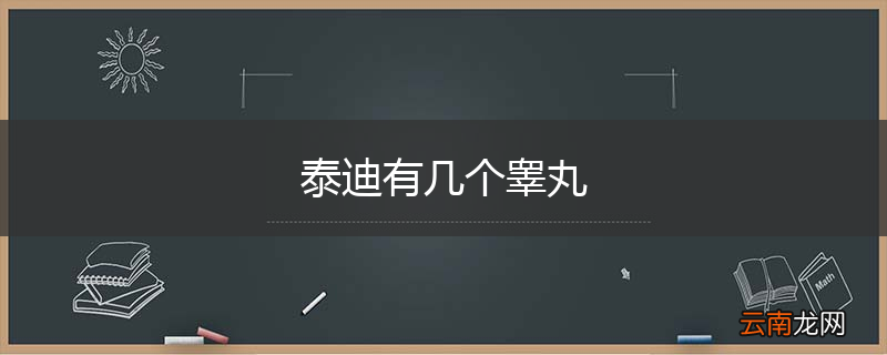 泰迪有几个睾丸