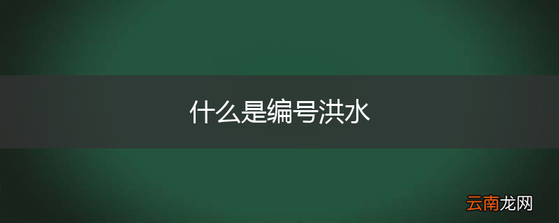 什么是编号洪水