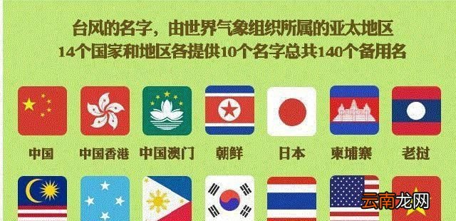 利奇马是什么意思？