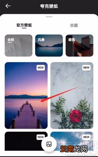 夸克app更改背景壁纸的方法