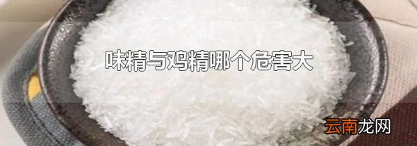 味精与鸡精哪个危害大