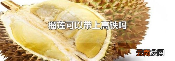 榴莲可以带上高铁吗