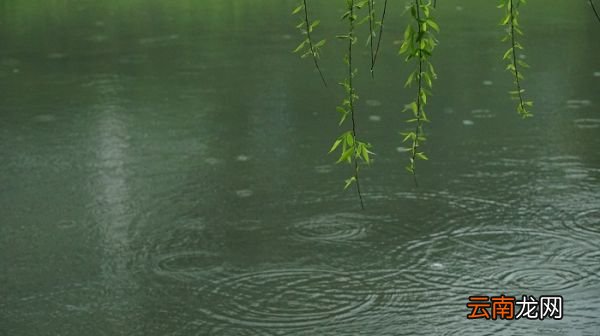 清明古诗翻译 清明这首古诗的翻译