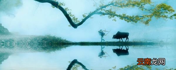 清明古诗翻译 清明这首古诗的翻译