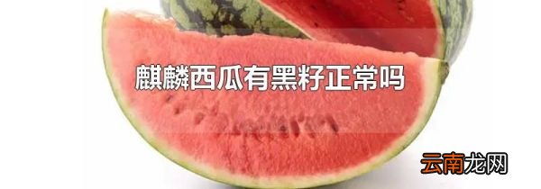 麒麟西瓜有黑籽正常吗