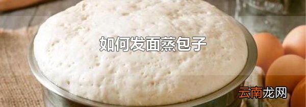 如何发面蒸包子