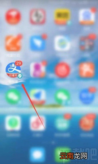 支付宝app调整借呗额度的方法