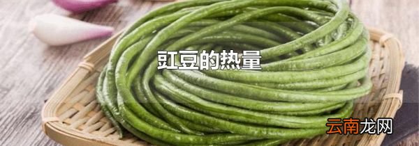 豇豆的热量