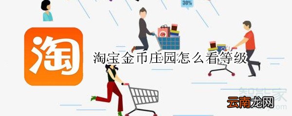 淘宝金币庄园怎么看等级