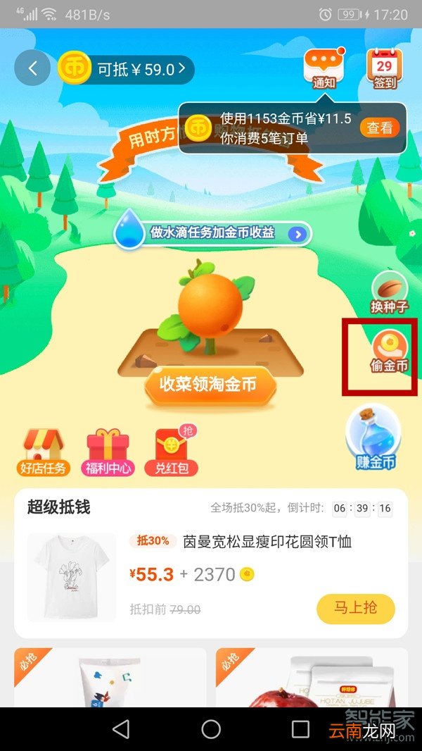 淘宝金币庄园怎么看等级