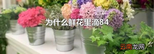 为什么鲜花里滴84
