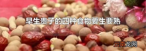 早生贵子的四种食物要生要熟