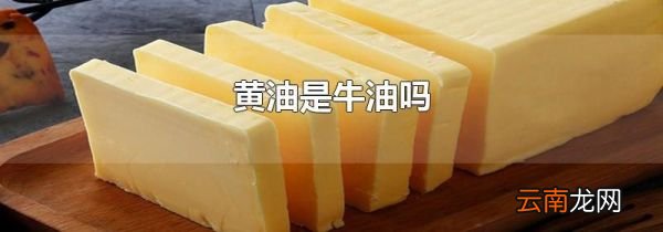 黄油是牛油吗