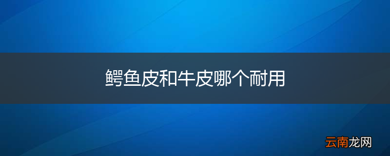 鳄鱼皮和牛皮哪个耐用