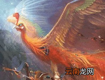 古代祥瑞四灵是指什么？
