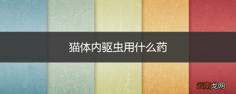 猫体内驱虫用什么药