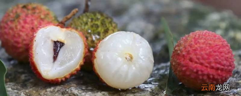 荔枝可以冷冻保存吗