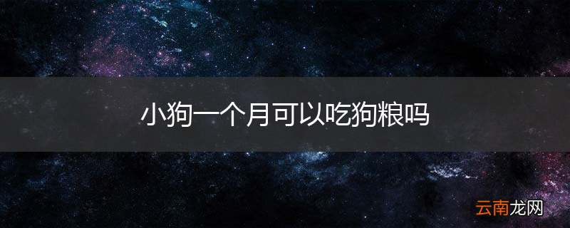 小狗一个月可以吃狗粮吗