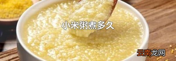小米粥煮多久