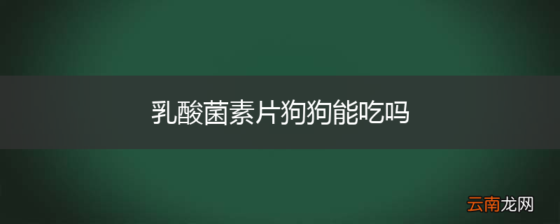 乳酸菌素片狗狗能吃吗