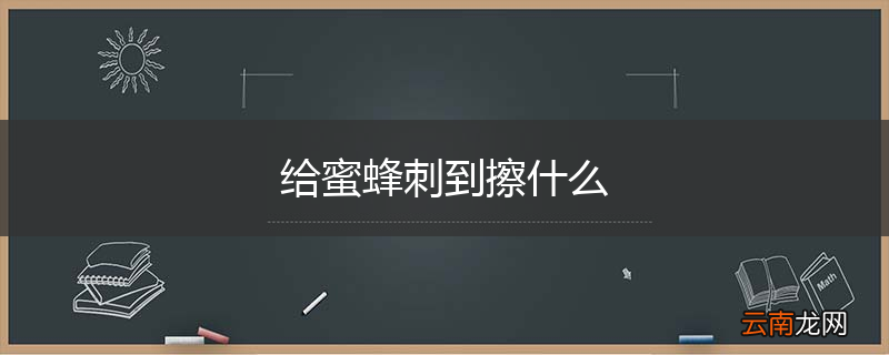 给蜜蜂刺到擦什么