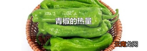 青椒的热量