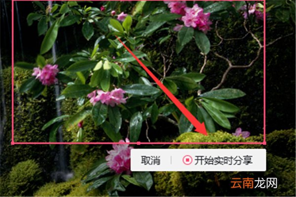 群课堂怎么分享屏幕