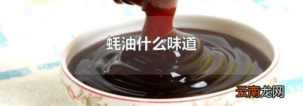 蚝油什么味道