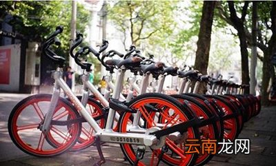 摩拜单车押金退款后一直没到账是什么原因？解决方法分析