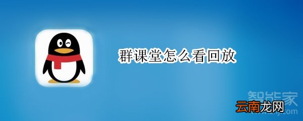 群课堂怎么看回放