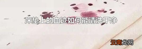 床垫上的血迹如何能清洗干净
