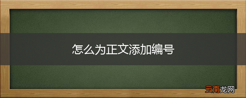 怎么为正文添加编号