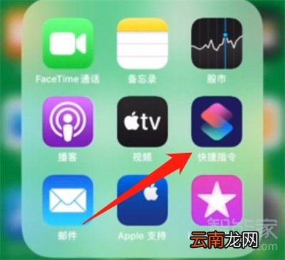 苹果11拍照怎么显示手机型号