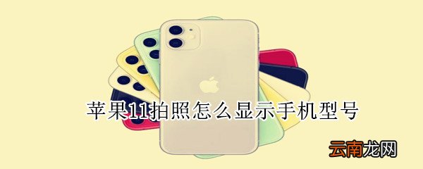 苹果11拍照怎么显示手机型号