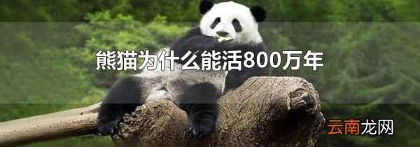 熊猫为什么能活800万年