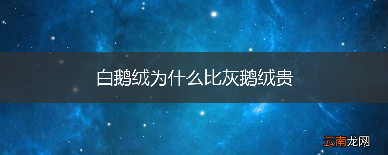 白鹅绒为什么比灰鹅绒贵