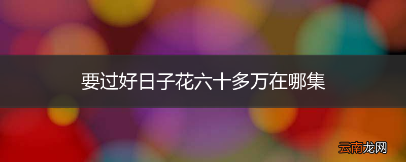 要过好日子花六十多万在哪集