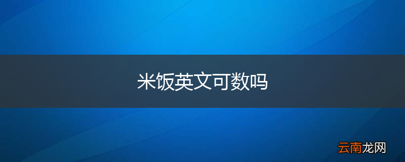 米饭英文可数吗