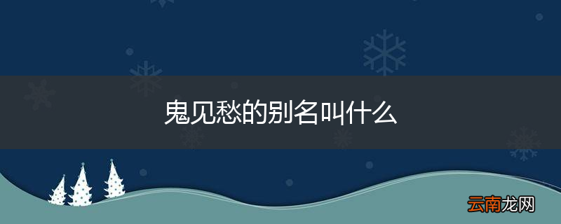 鬼见愁的别名叫什么
