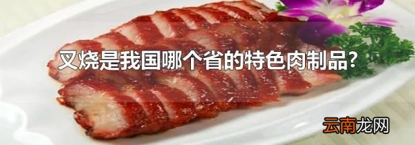 叉烧是我国哪个省的特色肉制品?