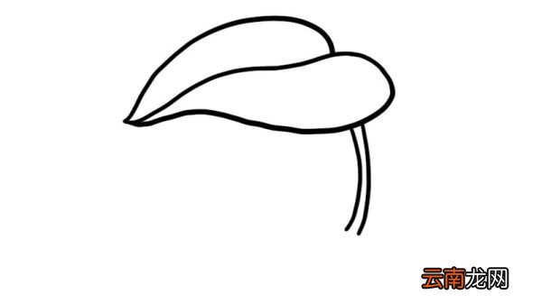 仓鼠简笔画