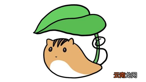 仓鼠简笔画