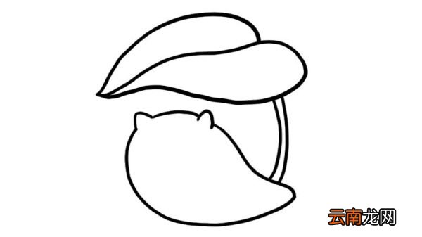 仓鼠简笔画