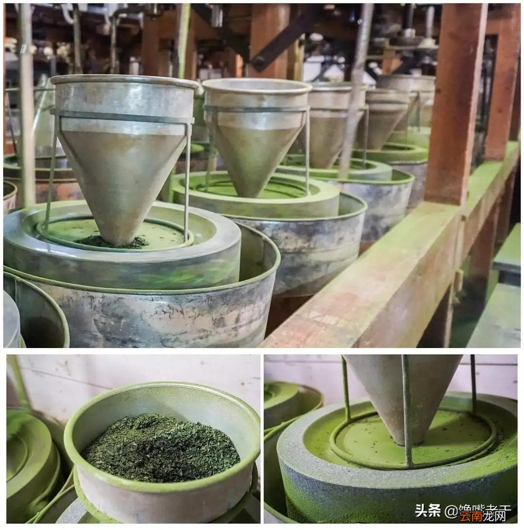 抹茶粉对身体有害还是有作用 抹茶粉是什么做的东西